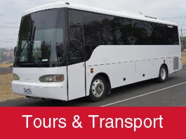 Tours & Transportation novato