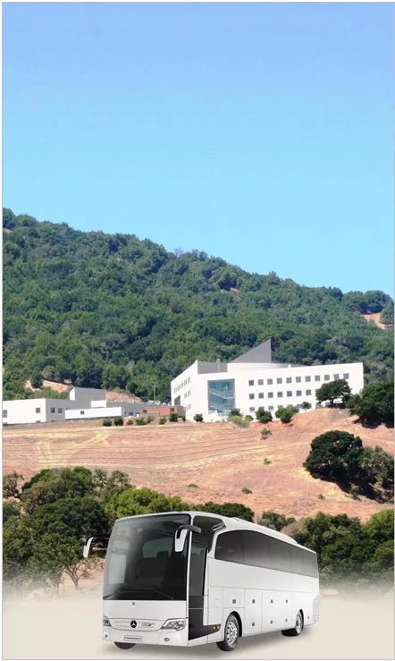 Novato Sightseeing And Tours Novato Sightseeing And Tours